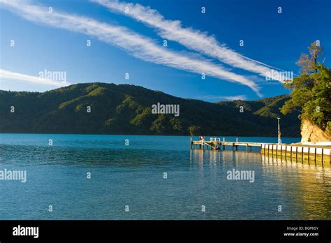 Queen Charlotte Sound South Island New Zealand Stock Photo Alamy