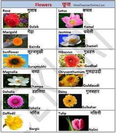 Maybe you would like to learn more about one of these? List of Common Flowers | To Print this chart right click ...