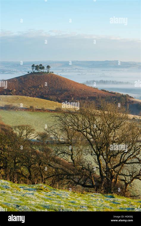 Colmers Hill Near Bridport Uk Hi Res Stock Photography And Images Alamy