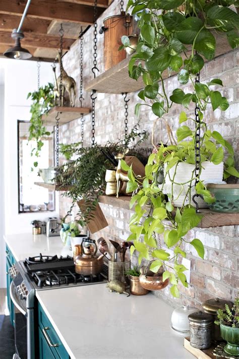 A Kitchen With Green Plants Hanging From The Wall And Potted Plants On