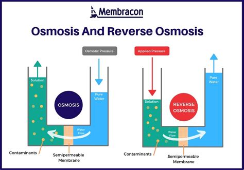 In short, manufacturers of hydroponics nutrients have specifically designed their products to be used in exacting amounts for your plants, but if there's other ingredients already in your water to start with. How Reverse Osmosis Water Filtration Systems Work - Membracon