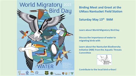 World Migratory Bird Day Wmbd Nantucket Field Station Meet And Greet