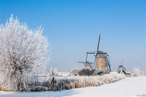 Winter Wonderland Dutch Windmills Kinderdijk Cool Landscapes