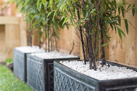 All You Need To Know About Bamboo Planter Boxes