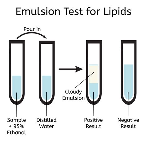 Why does my computer beep when i turn it on? 2.1.4.1emulsion - Get My Grades