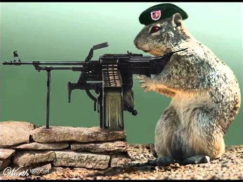 Funny Animals With Guns Rfunny