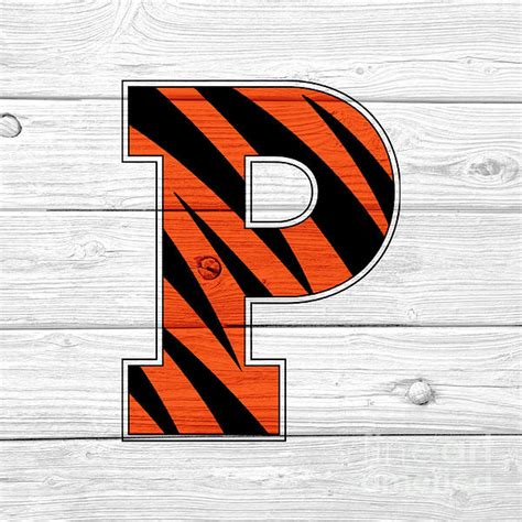 Lone Palm Studios On Twitter New Artwork For Sale Princeton University Tigers White Washed