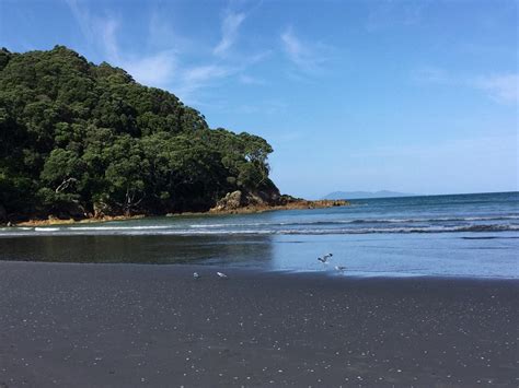 The 10 Best Things To Do In Waihi Beach 2021 With Photos