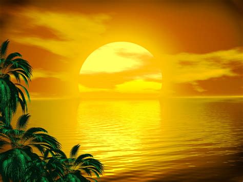 Fantastic Golden Sunset Wallpaper | Full HD Pictures