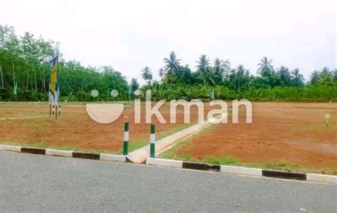 Land For Sell Ikman
