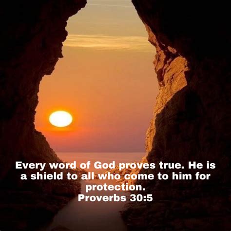 Proverbs 30 5 Every Word Of God Proves True He Is A Shield To All Who