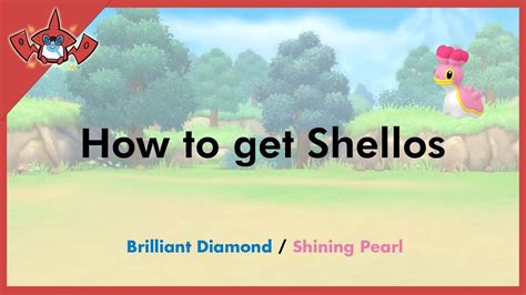 How To Get Shellos In Pokemon Brilliant Diamond Shining Pearl YouTube