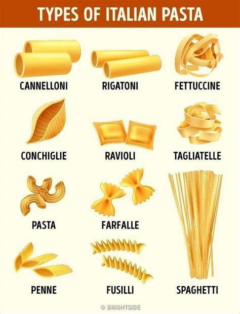 Noodles are made will regular wheat flour while pasta is. Pasta types. : coolguides