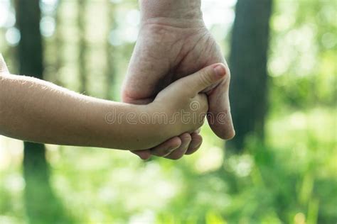Adult Holding A Child S Hand Close Up Hands Stock Photo Image Of
