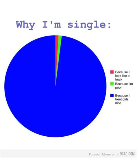 Why I'm single | Why im single, Single jokes, Im single