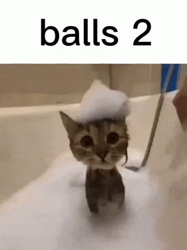 Balls Two Gif Balls Two Discover And Share Gifs