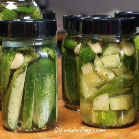 Probiotic Rich Fermented Dill Pickles Whole Spears And Slices
