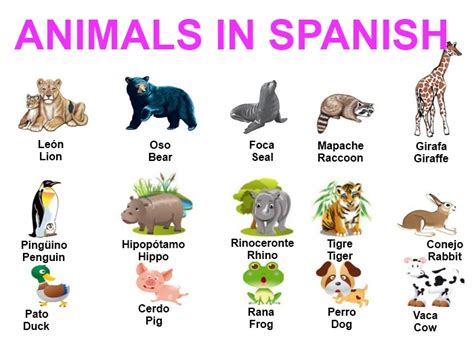 List Of Animals In Spanish Spanish To English Know How