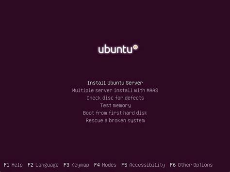 Langkah Langkah Instalasi Ubuntu Server Curcor Hot Sex Picture