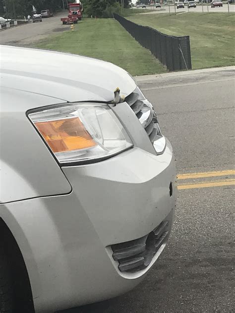 The vehicle usually is higher than their flight path. Riding in the car when we pulled up to a stop light to see ...