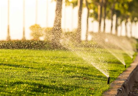The Best Garden Sprinkler Uk Reviews And Buyers Guide 2021