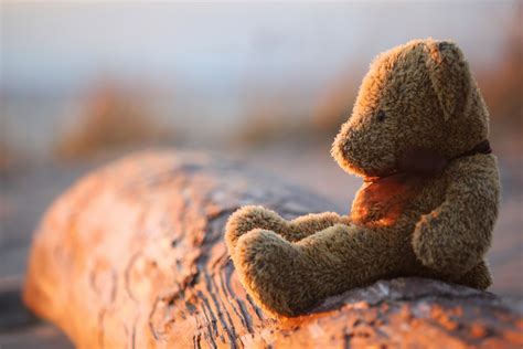 Right now we have 70+ background. Teddy Bear Wallpapers Images Photos Pictures Backgrounds
