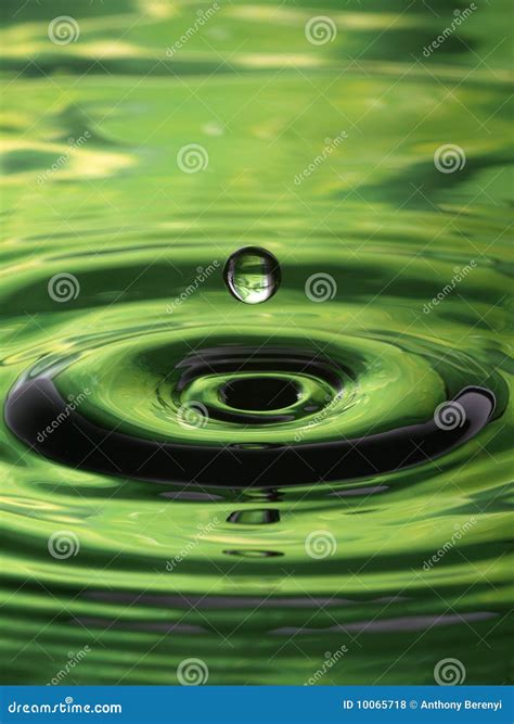 Water Droplet Ripple Pattern Green Single Drop Stock Photo Image Of