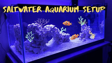 setting up my first saltwater aquarium youtube