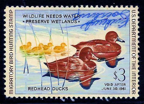 Redhead Ducks By Lanjee Chee Redhead Duck Usa Stamps Postage Stamp