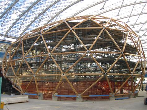 Timber Shell Structure