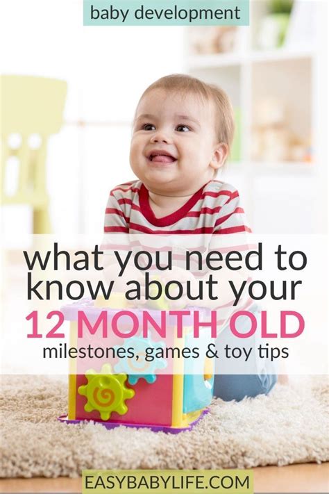 Your 12 Month Old Baby Development Milestones Games Toys Baby