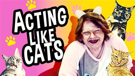 Acting Like Cats Youtube