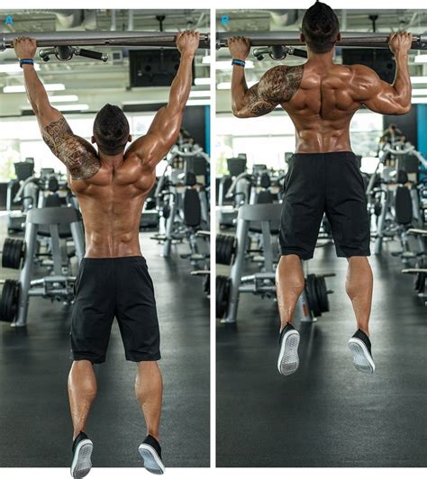 The largest muscle mass belongs to the posterior group, the gluteal muscles, which, as a group, adduct the thigh. 10 Best Back Workout Exercises To Build Muscle ...