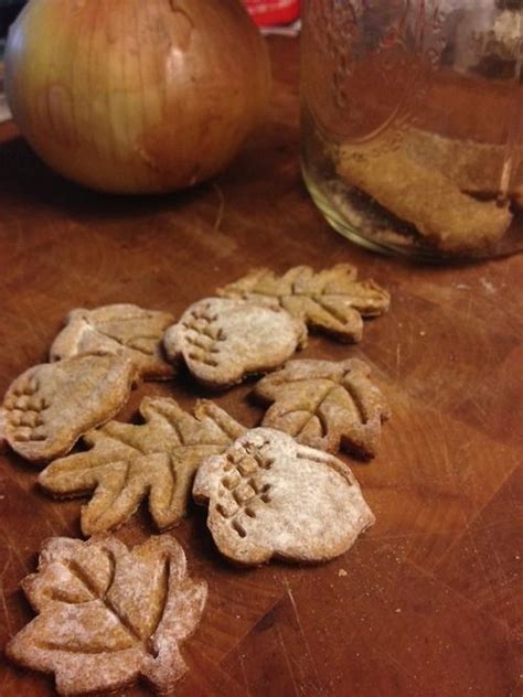 Fall Flea Be Gone Dog Biscuits From Nina Elder Senior Food Editor