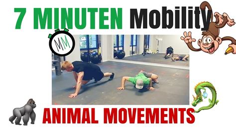 Animal Movements Warm Up 7 Minuten Mobility Youtube