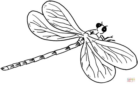 Dragonfly 3 Coloring Page Free Printable Coloring Pages
