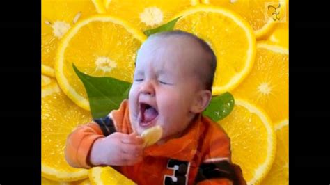 Baby Eating Lemon Funny Video Updated Baby Earrings Gold Grt
