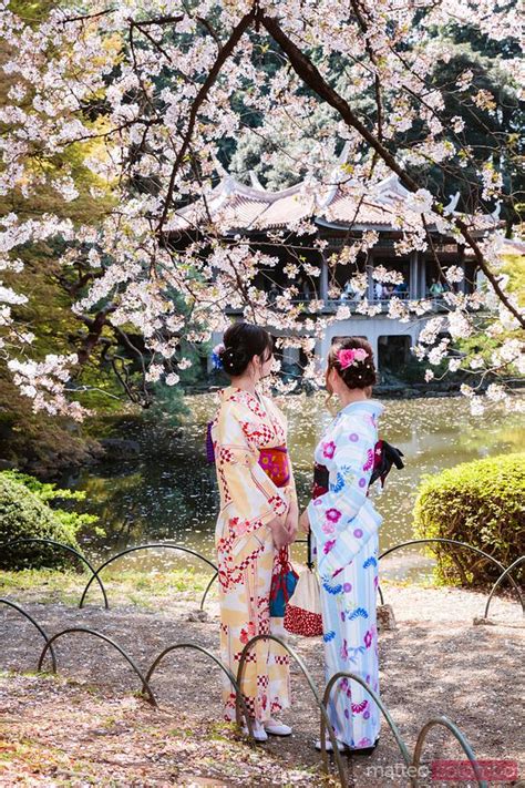 Two Women In Kimono Under Cherry Tree Tokyo Japan Royalty Free Image