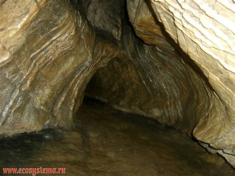 Water Polished Walls Of A Karst Cave In The Steep Slope Of The Khosta