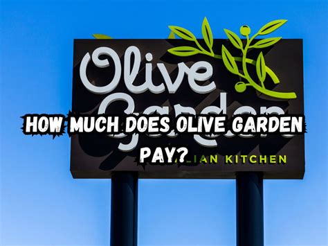 How Much Does Olive Garden Pay Salary Insights For Job Seekers