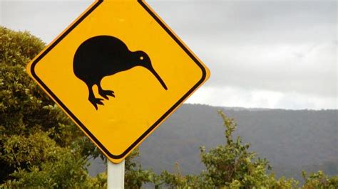Not Surprising New Zealand To Use Māori Language On Road Signs News