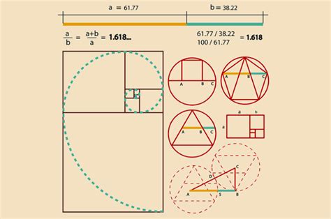 The Golden Ratio Myth Or Magic Of Mathematics Nu Sci Magazine
