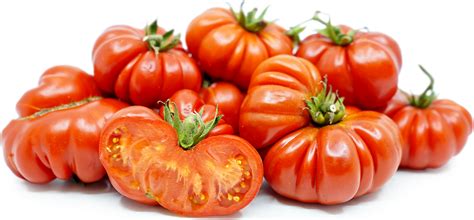 Costoluto Genovese Heirloom Tomatoes Information And Facts