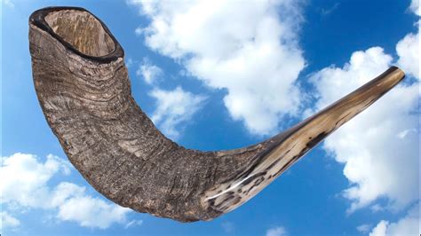 The Unexpected Story Behind The Holiday Shofar Israel21c