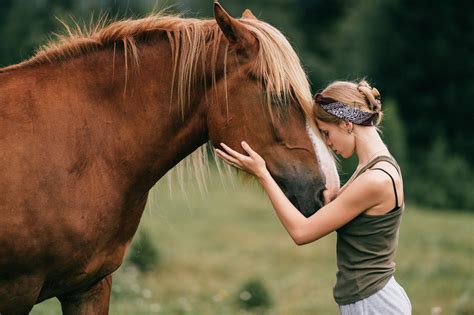 Quantos Anos Vive Cavalo