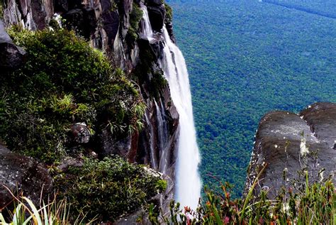 The Majesty Of Angel Falls The Info Times