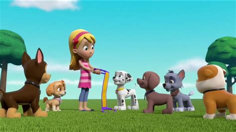 marshall gallery pups and katie stop the barking kitty crew paw patrol wiki fandom