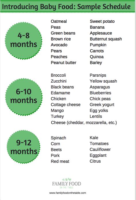 It's hard to figure out how to implement all these suggestions on your own, so i created a. Homemade baby food introducing solids schedule | Baby food ...