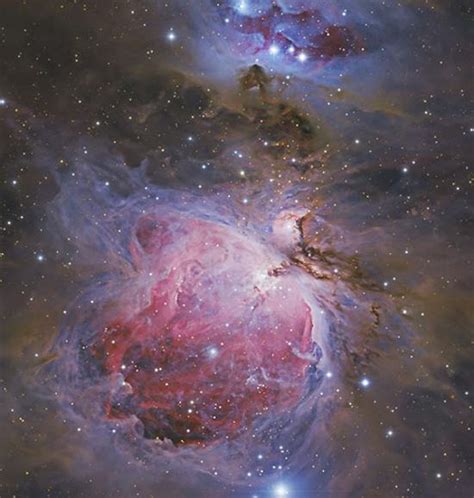 10 Interesting Orion Constellation Facts That Are Pure Gold Universavvy