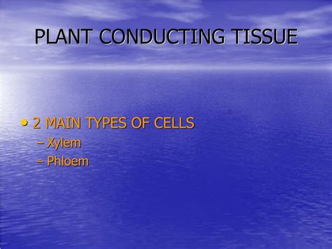 Ppt Plant Histology Ii Powerpoint Presentation Free Download Id701726
